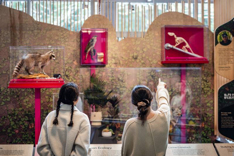 Two people with their backs to the camera look through a glass at items in red square boxes.